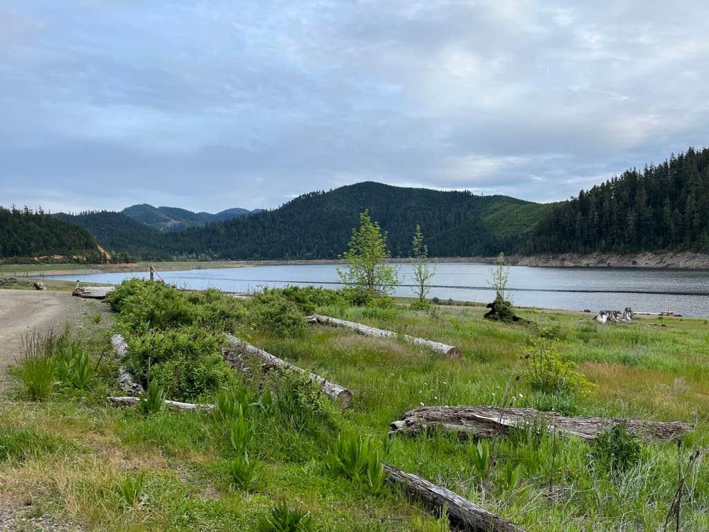 Camper-submitted photo at Chief Miwaleta RV Park & Campground near Myrtle Creek, OR