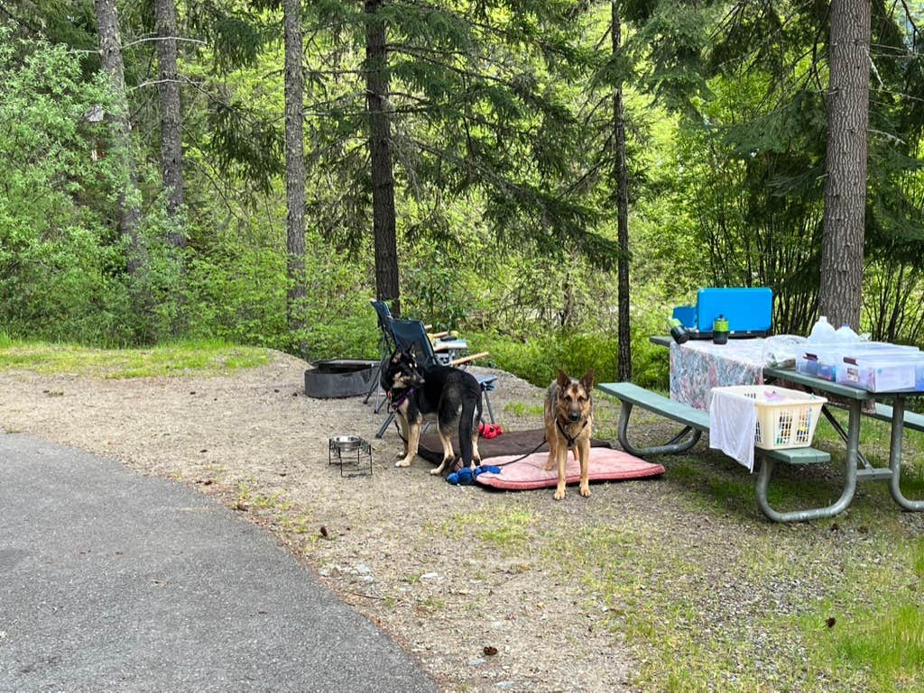 Camper-submitted photo at Chief Miwaleta RV Park & Campground near Myrtle Creek, OR