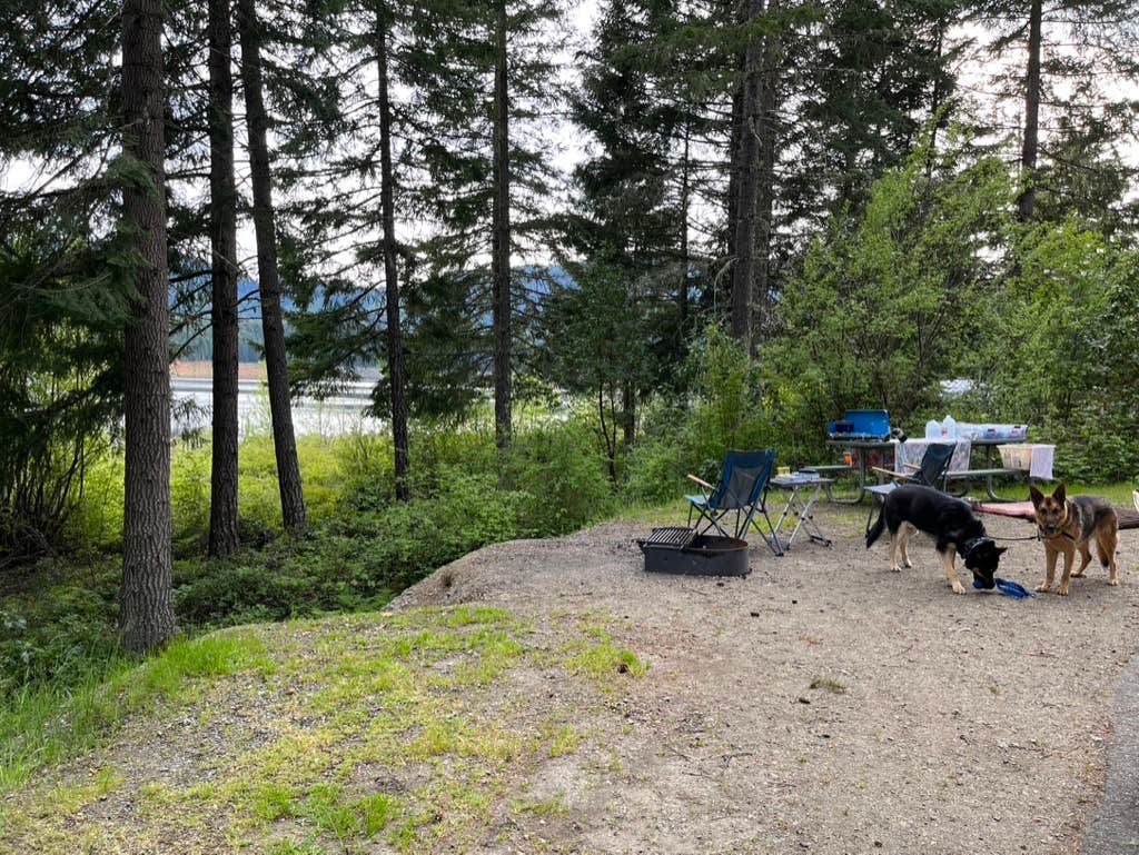 L's photo at Chief Miwaleta RV Park & Campground near Wolf Creek, OR