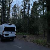 Review photo of Swan Lake Campground by megan , May 25, 2022