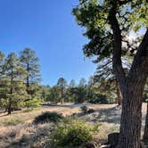 Review photo of FDR 373 Thumb Butte Loop by Jon G., May 26, 2022