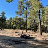 Review photo of FDR 373 Thumb Butte Loop by Jon G., May 26, 2022