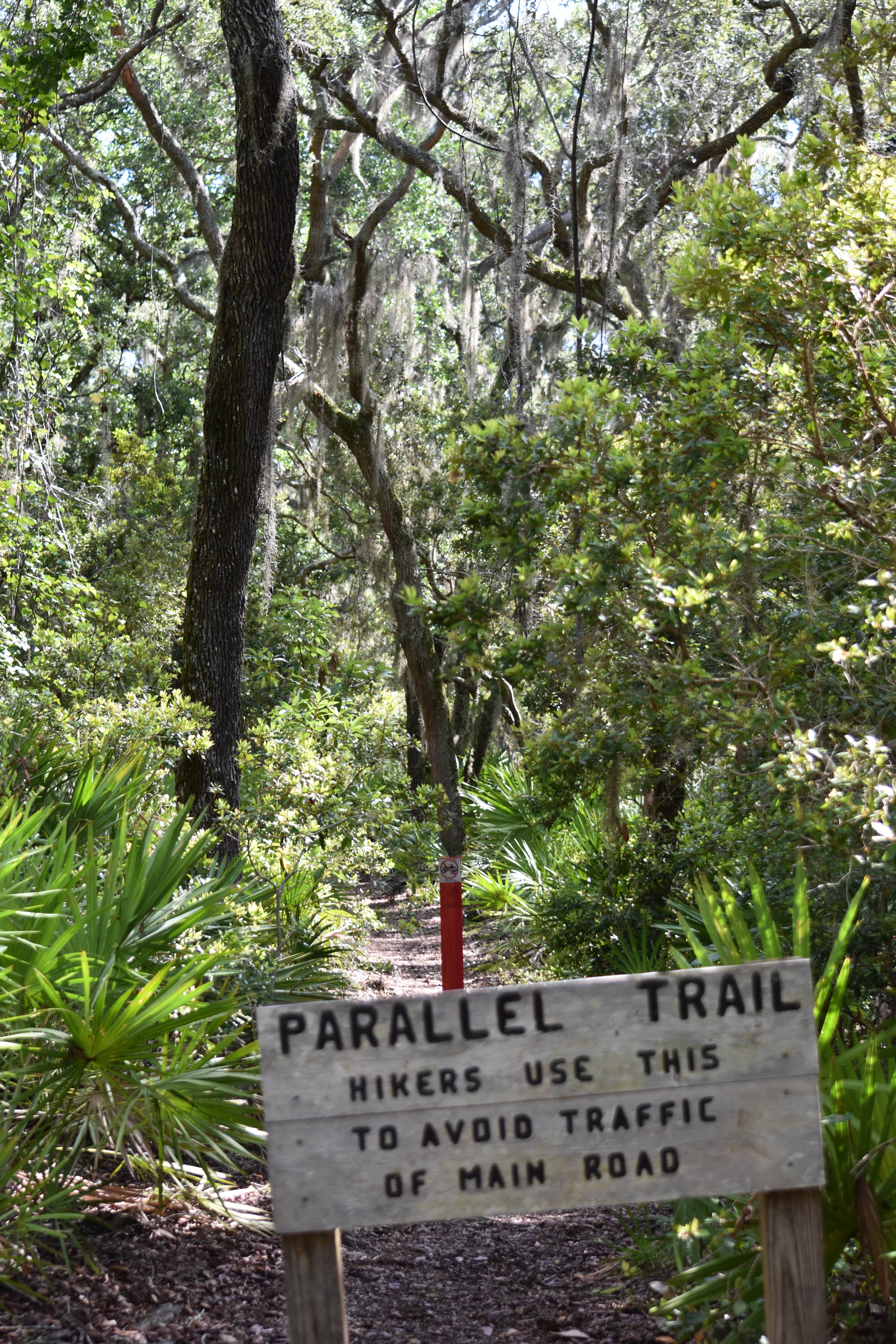 Camper-submitted photo at Brickhill Bluff Wilderness Campsite — Cumberland Island National Seashore near St. Simons Island, GA