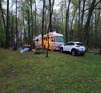 Camper-submitted photo from Hospitality Creek Campground
