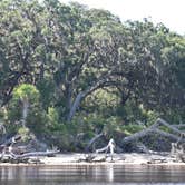 Review photo of Brickhill Bluff Wilderness Campsite — Cumberland Island National Seashore by PJ S., July 14, 2018