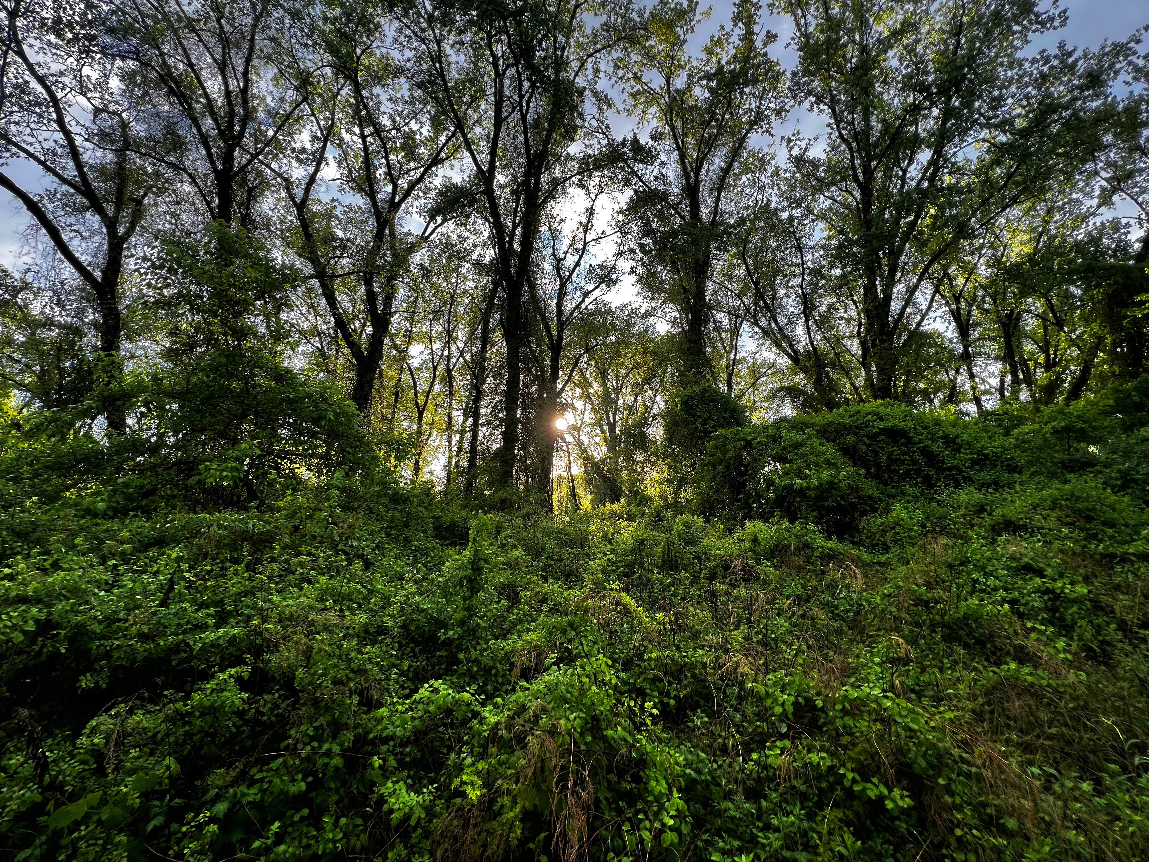 Camper-submitted photo at Schodack Island State Park Campground near West Stockbridge, MA