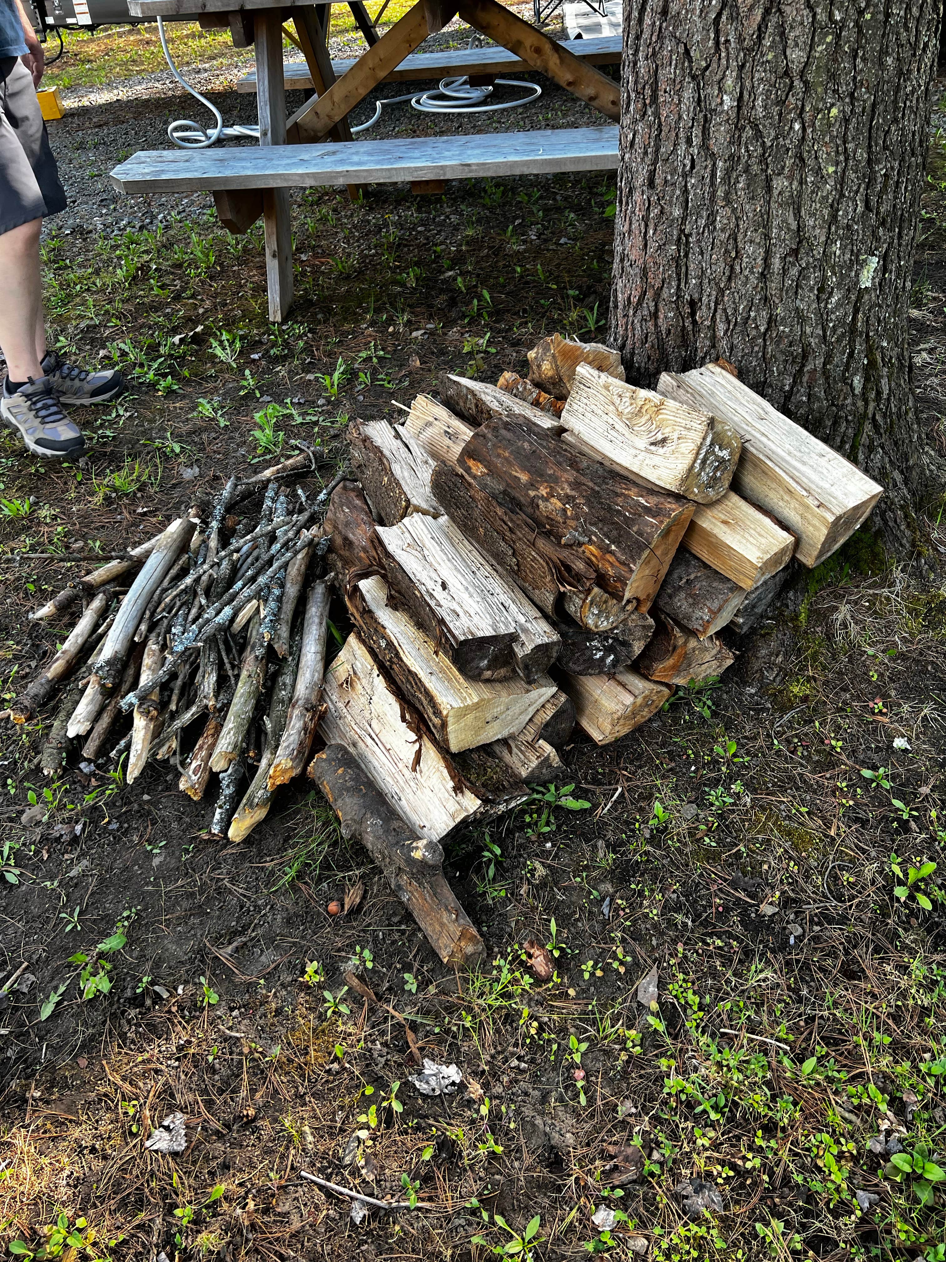 Camper-submitted photo at Royal Mountain Campsites near Fort Plain, NY