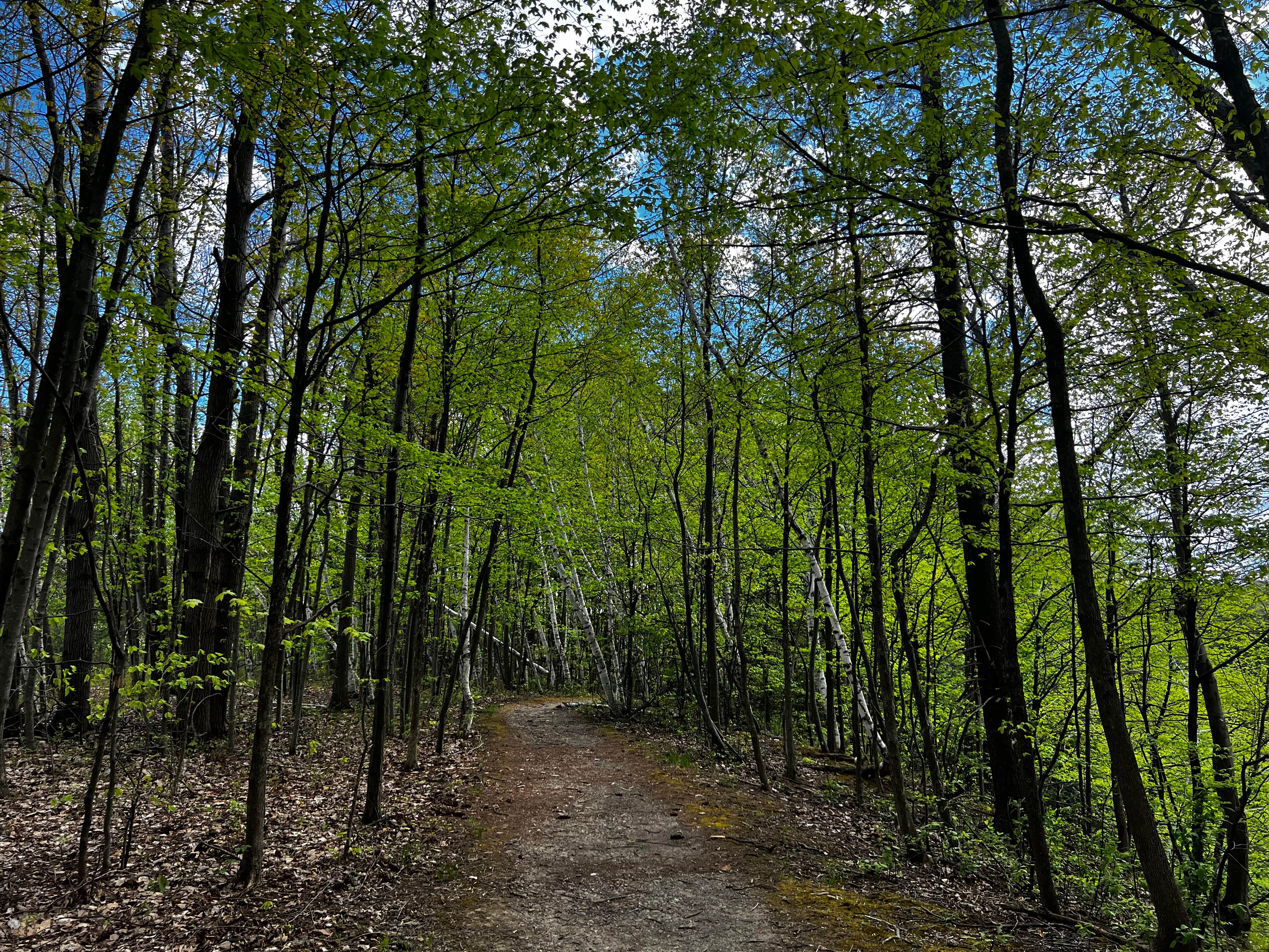 Camper-submitted photo at Royal Mountain Campsites near Fort Plain, NY