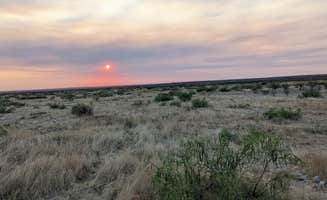 Amanda M.'s photo of a dispersed camping area at Chosa Campground near Carlsbad, NM