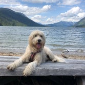 Review photo of Lake Wenatchee State Park Campground by Crystal F., July 14, 2018