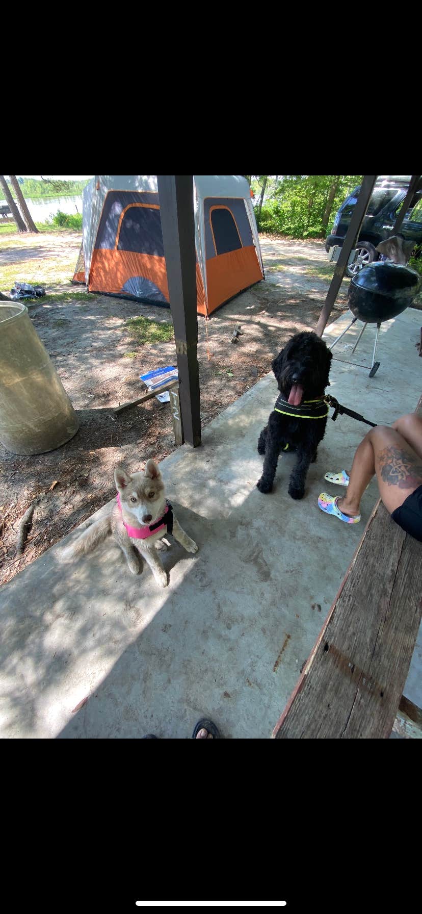 Camper-submitted photo at Rainbow Acres Campground near Lanexa, VA