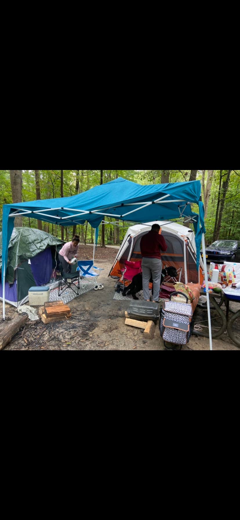 Chanel B.'s photo at Newport News Park near Newport News, VA