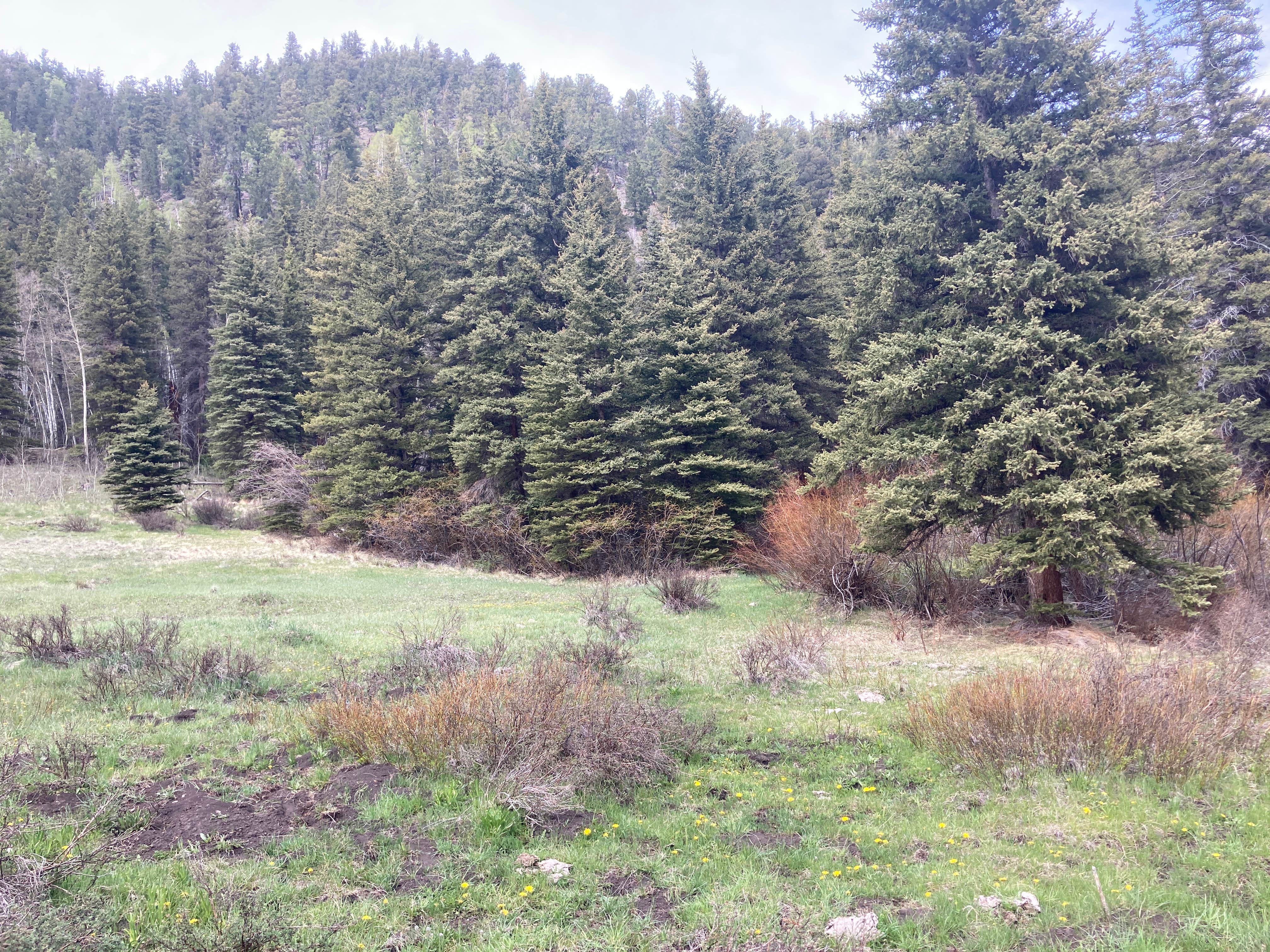 Lake Fork Camping The Dyrt