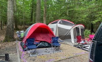 Chanel B.'s photo at Westmoreland State Park Campground near Dogue, VA