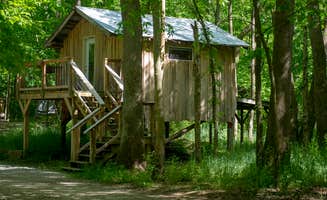 Kerry B.'s photo of a cabin at Happy Hollow Homestead near Borden, IN
