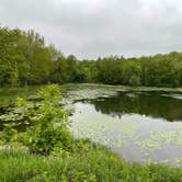 Review photo of Pilot Knob State Park — Pilot Knob State Preserve by Eric J., May 26, 2022