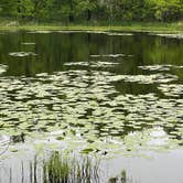 Review photo of Pilot Knob State Park — Pilot Knob State Preserve by Eric J., May 26, 2022