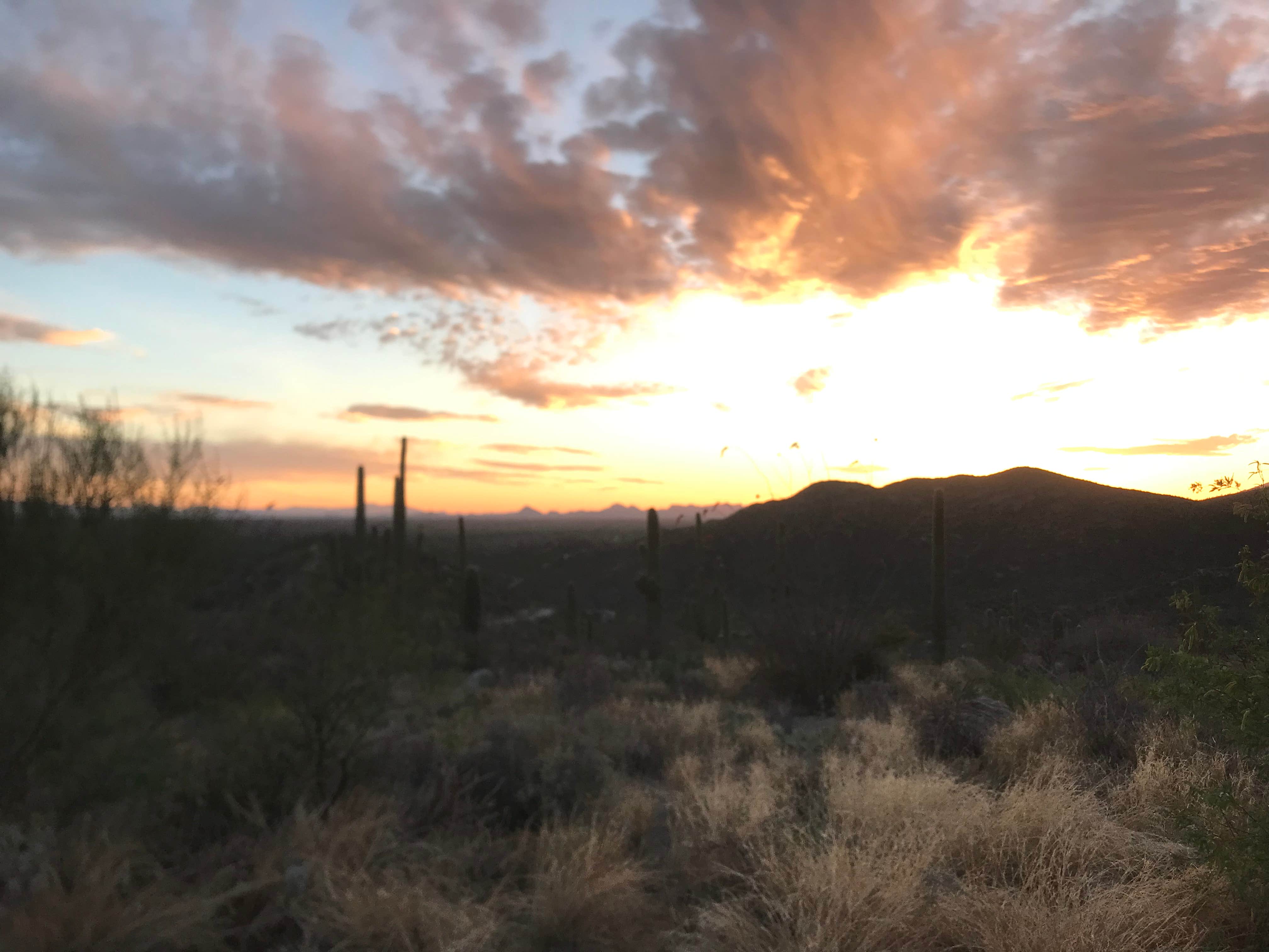Redington Pass - Dispersed Camping