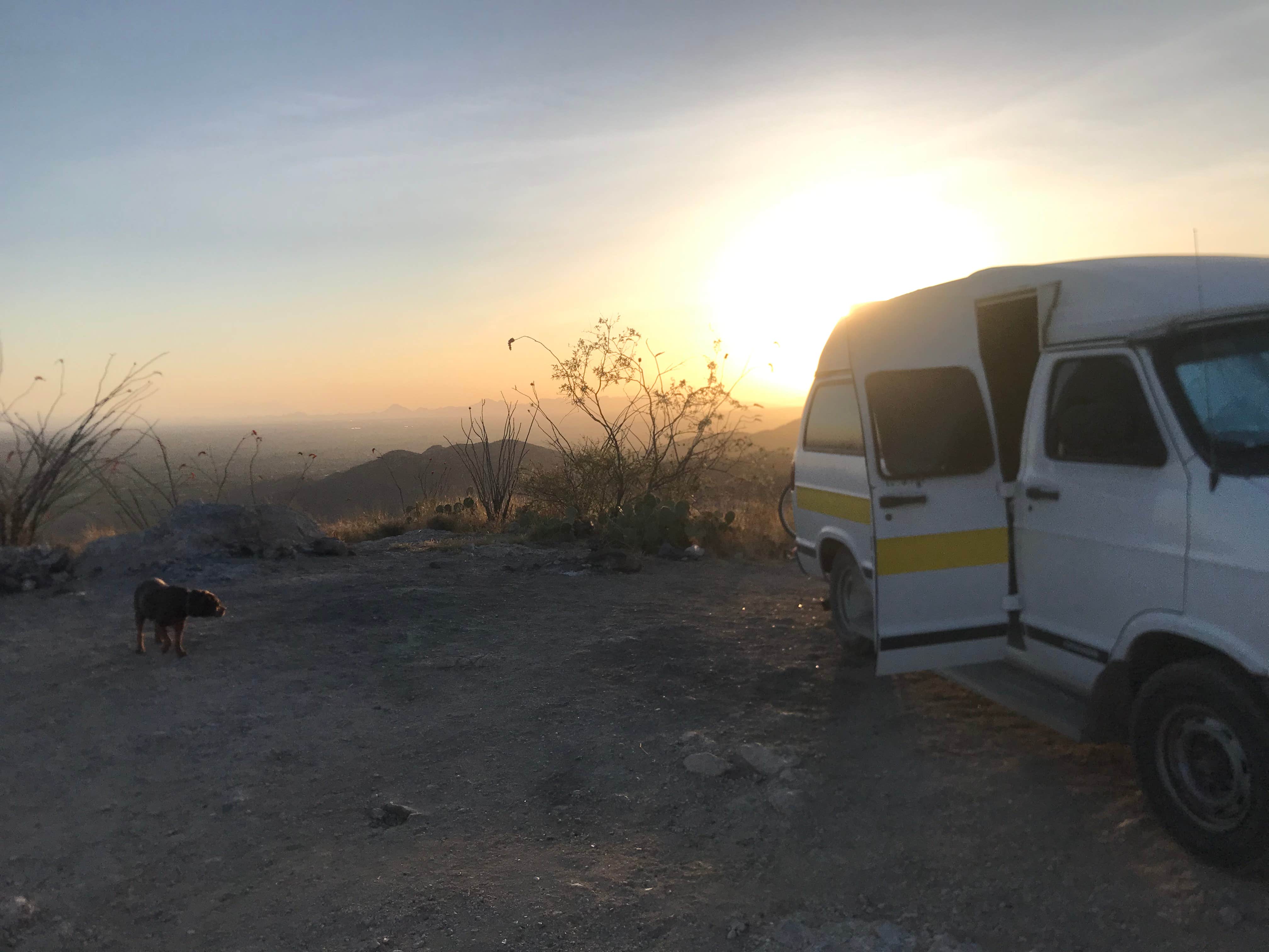 Cameron M.'s photo of camping with pets at Redington Pass - Dispersed Camping near Saguaro National Park