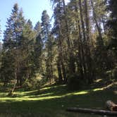 Review photo of Forest Road 568 - Dispersed Camping by Cameron M., May 26, 2022