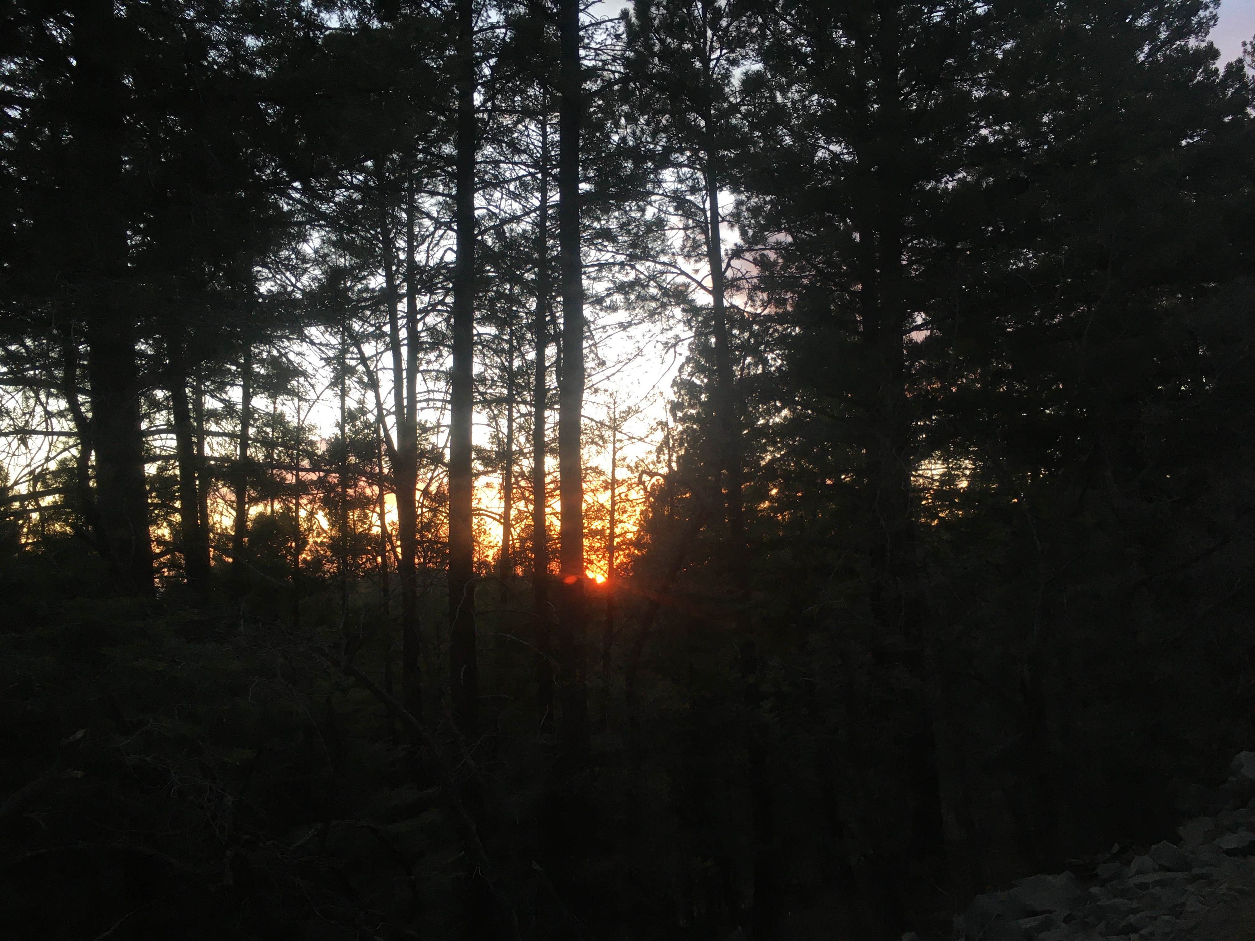 Cameron M.'s photo of a dispersed camping area at Forest Road 568 - Dispersed Camping near White Sands National Park