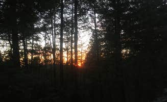 Cameron M.'s photo of a dispersed camping area at Forest Road 568 - Dispersed Camping in New Mexico