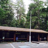 Review photo of Elk Prairie Campground — Prairie Creek Redwoods State Park by phillip L., July 26, 2016