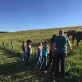 Review photo of Yellowstone Park / West Gate KOA Holiday by Jen M., July 14, 2018