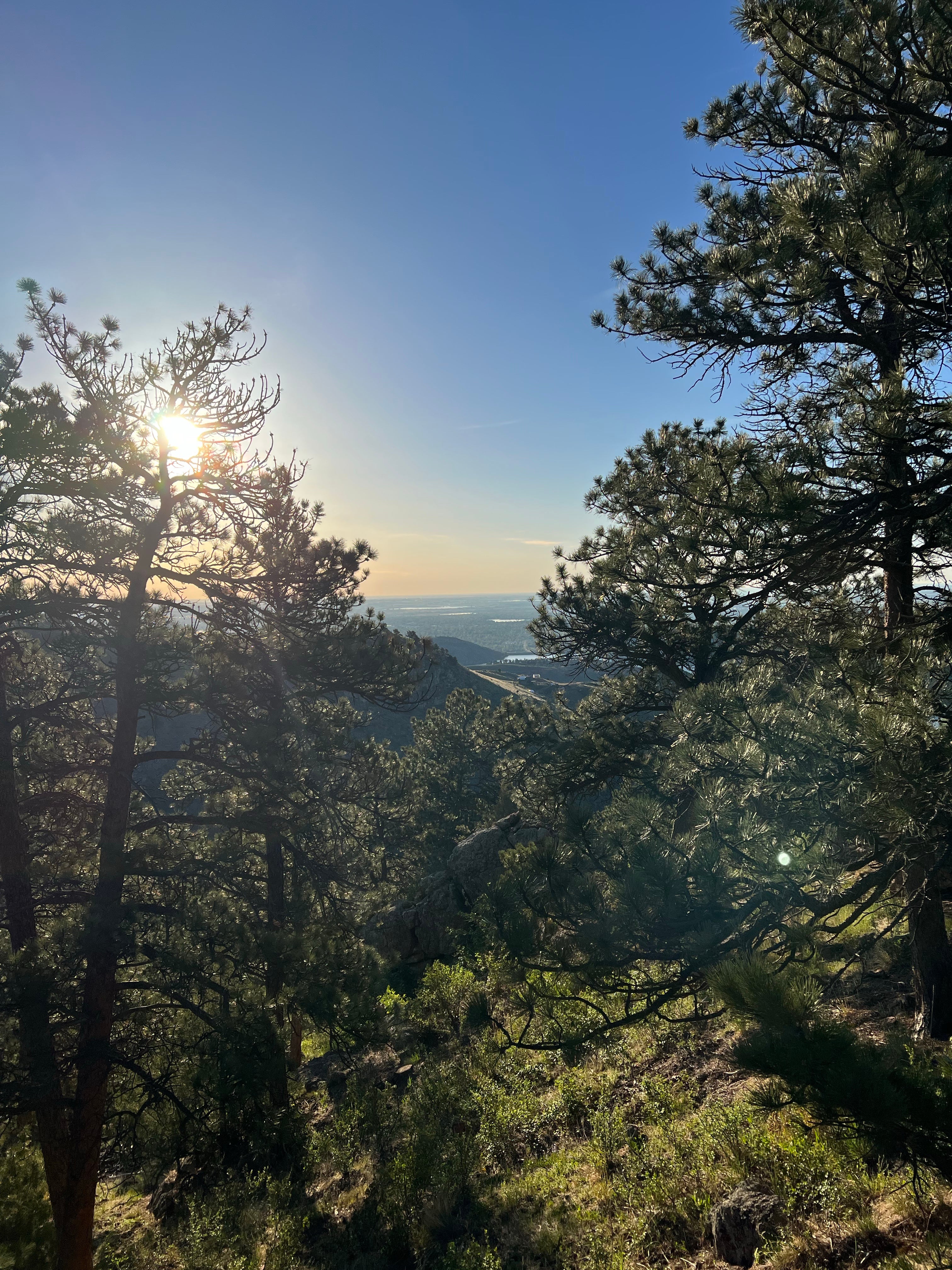 Camper submitted image from Horsetooth Mountain - Backcountry Site 2 - 2
