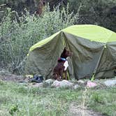 Review photo of Horsetooth Mountain - Backcountry Site 2 by Miranda K., May 26, 2022