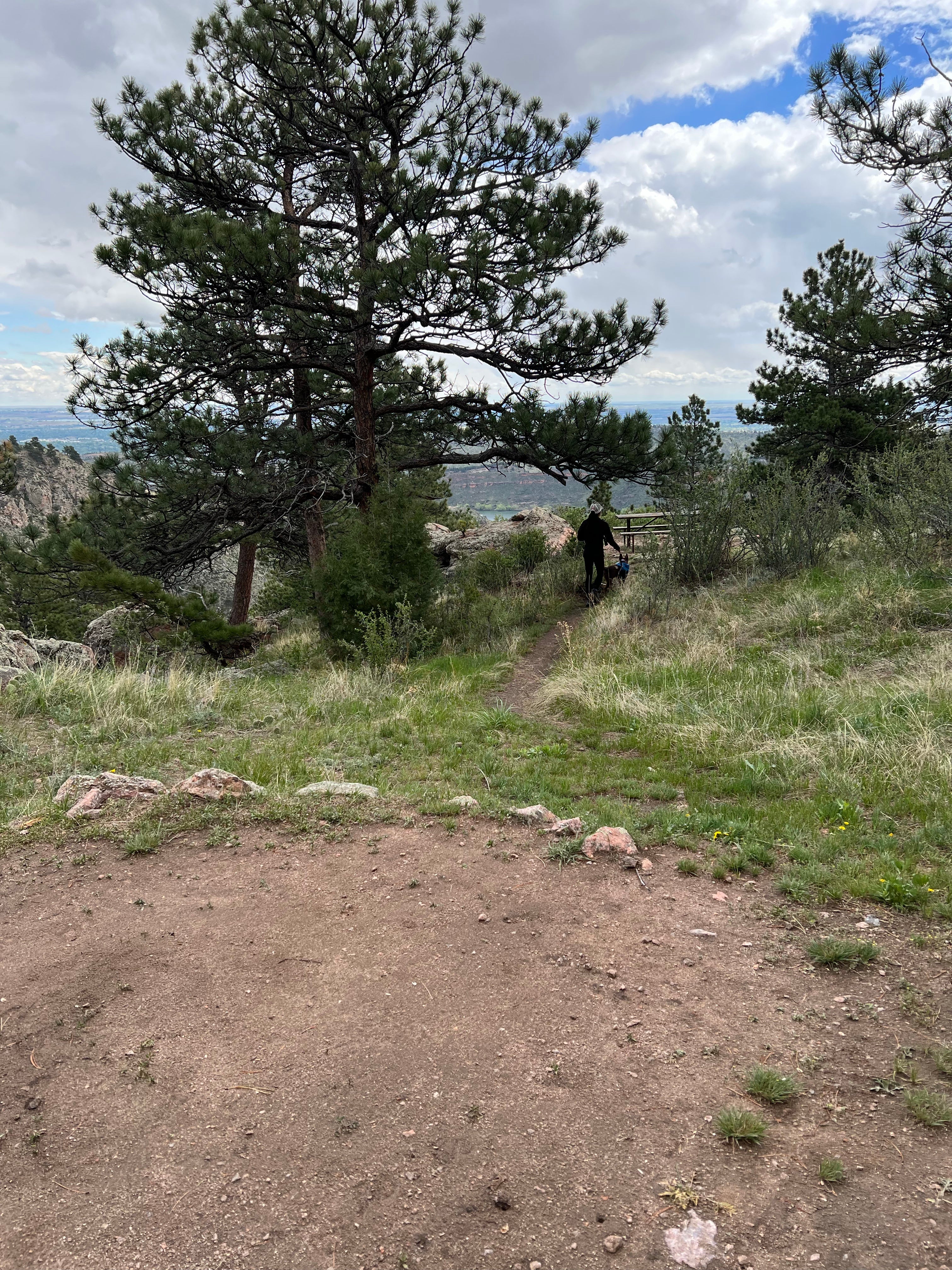 Camper submitted image from Horsetooth Mountain - Backcountry Site 2 - 5