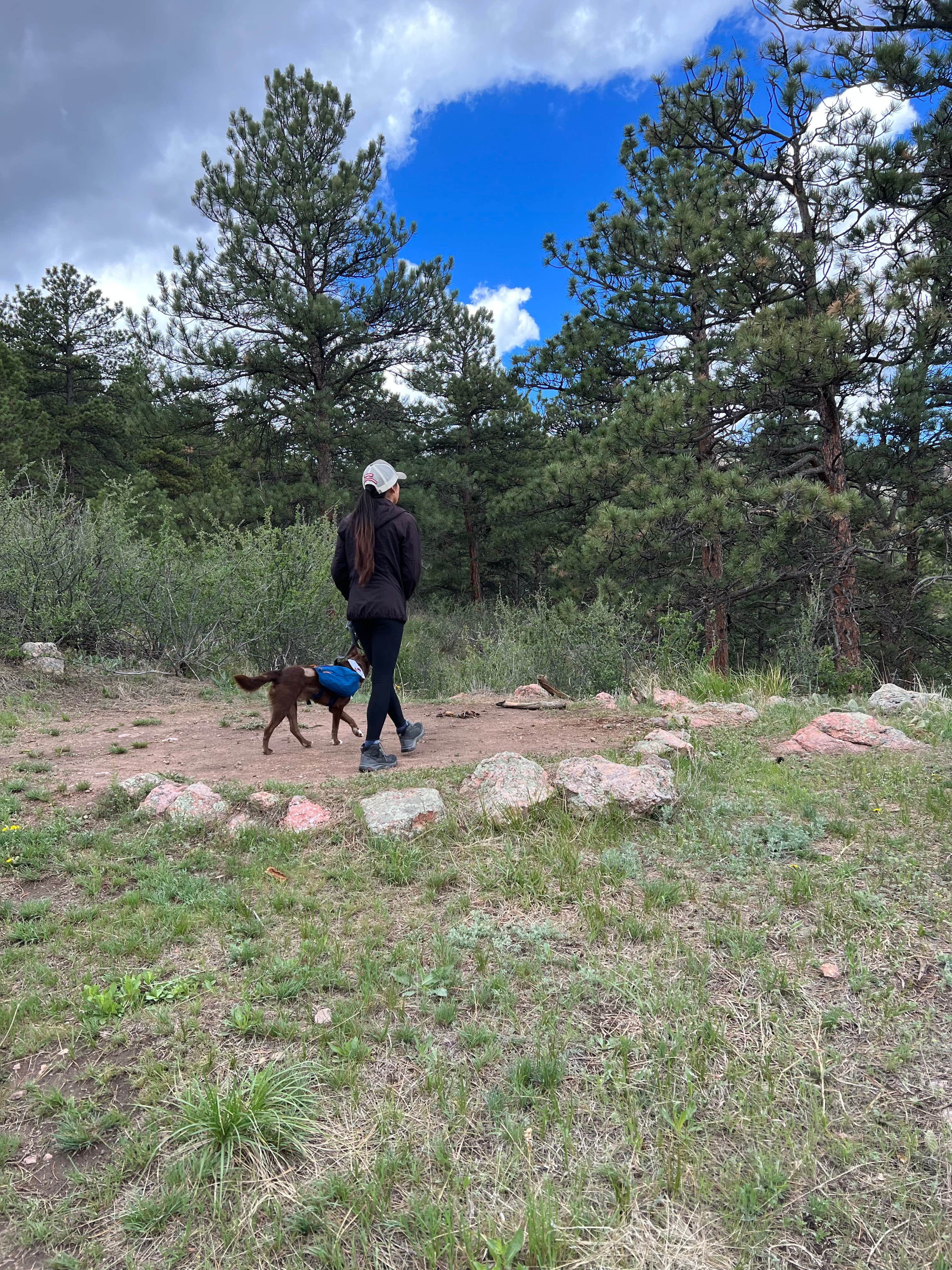 Camper submitted image from Horsetooth Mountain - Backcountry Site 2 - 3