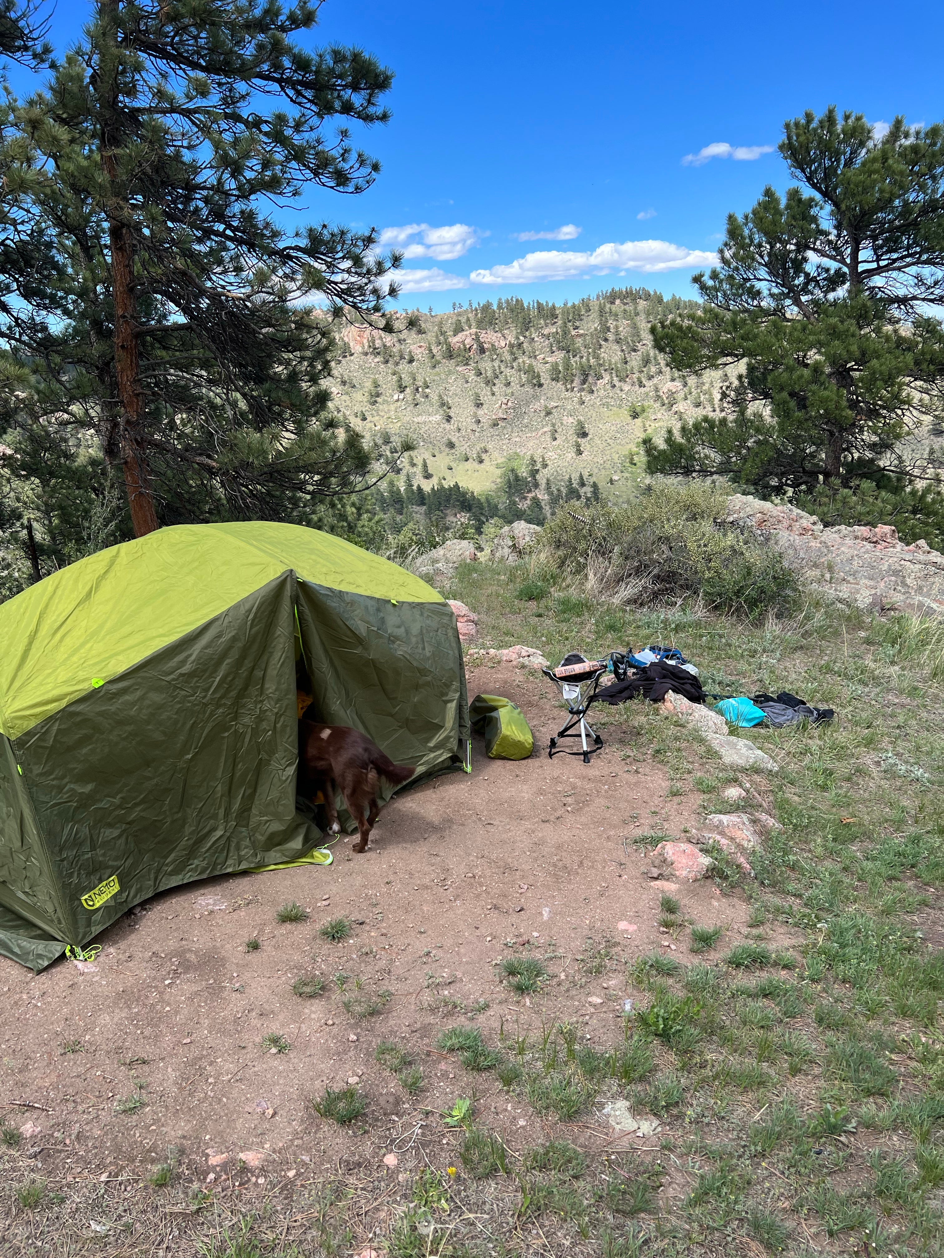 Camper submitted image from Horsetooth Mountain - Backcountry Site 2 - 1