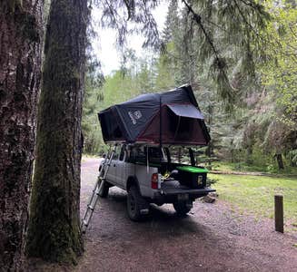 Camper-submitted photo from Clatsop State Forest Northrup Creek Horse Campground