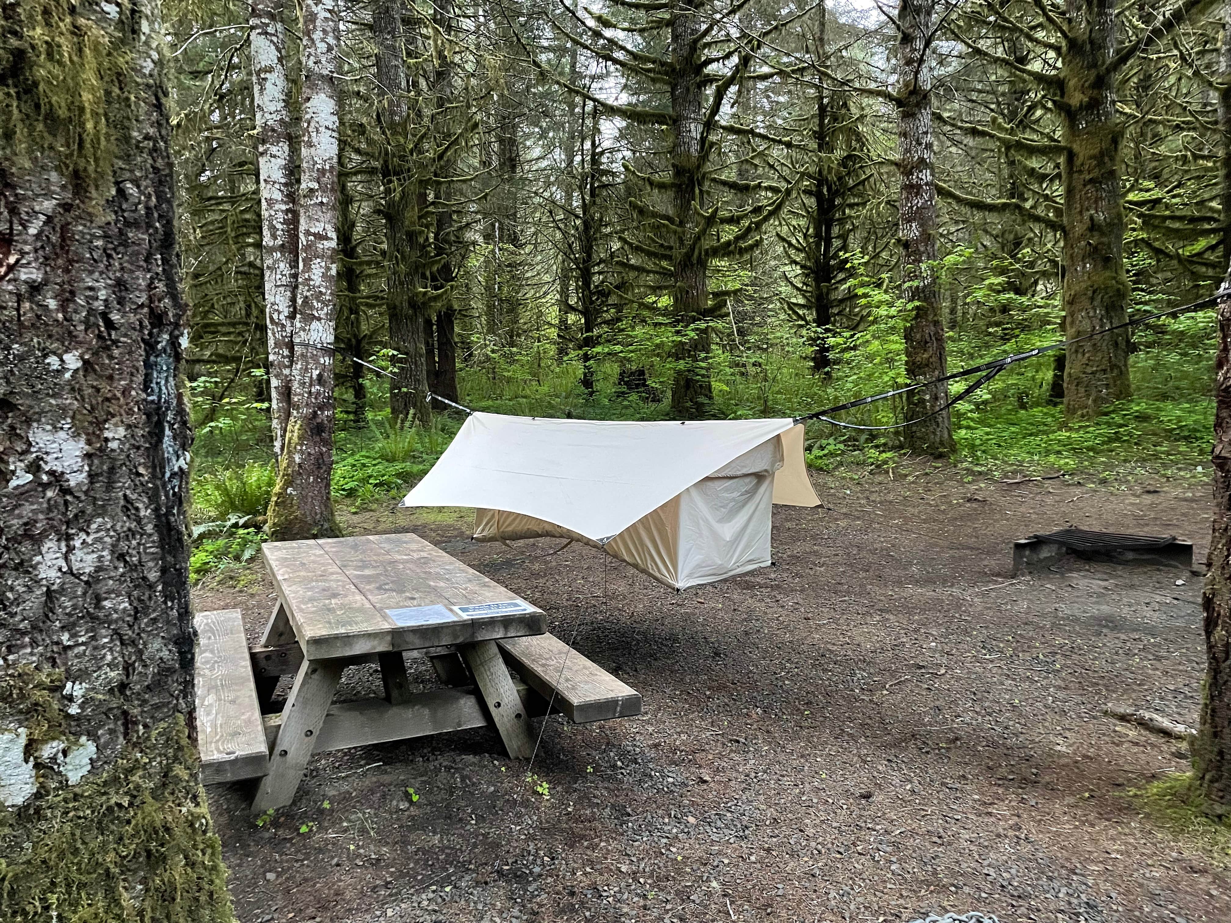 Daniel S.'s photo at Clatsop State Forest Northrup Creek Horse Campground near Clatskanie, OR