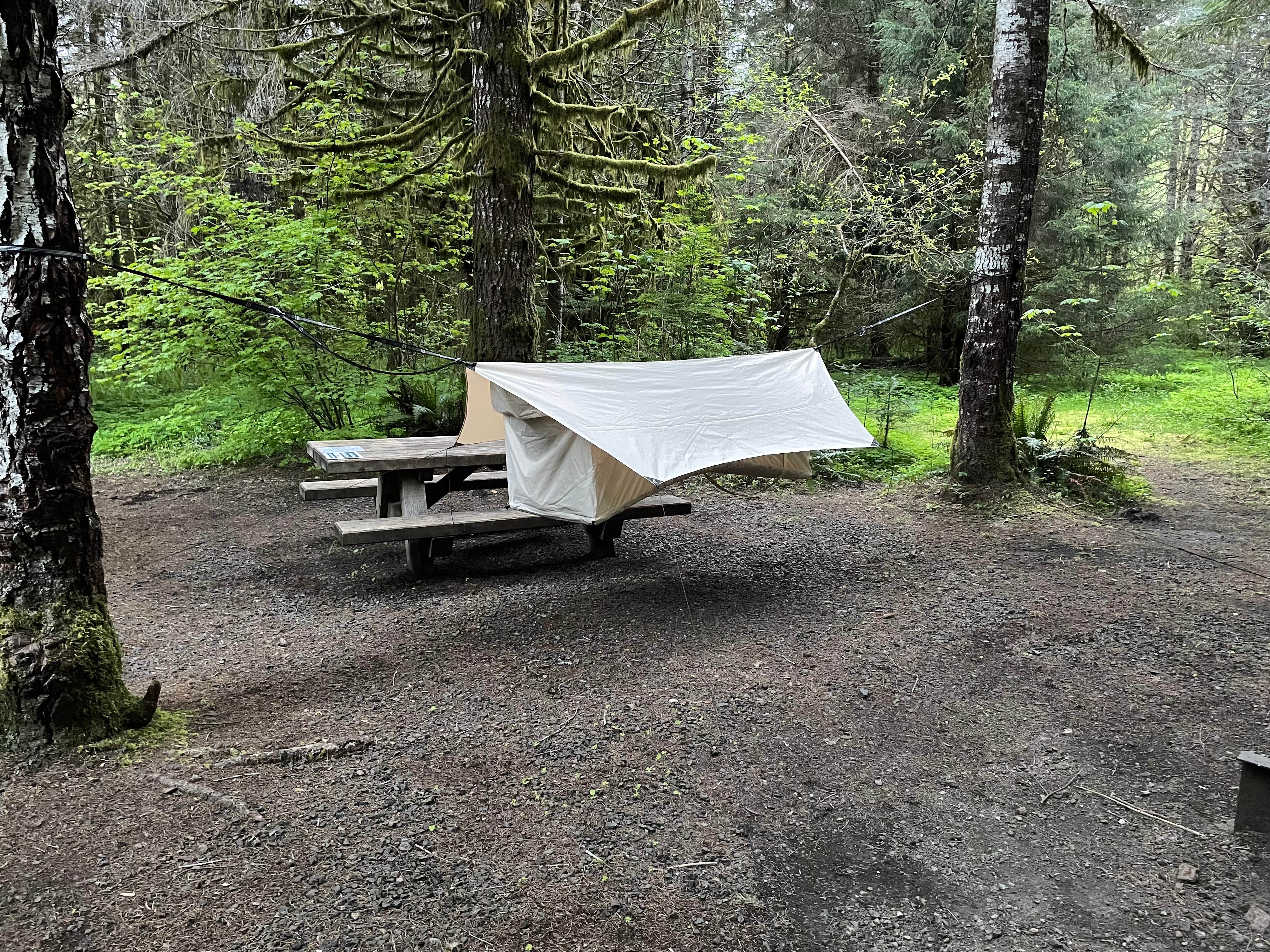 Daniel S.'s photo at Clatsop State Forest Northrup Creek Horse Campground near Clatskanie, OR