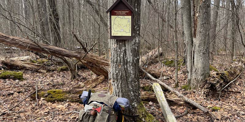 Camper submitted image from Hoist/Reid Lake Areas