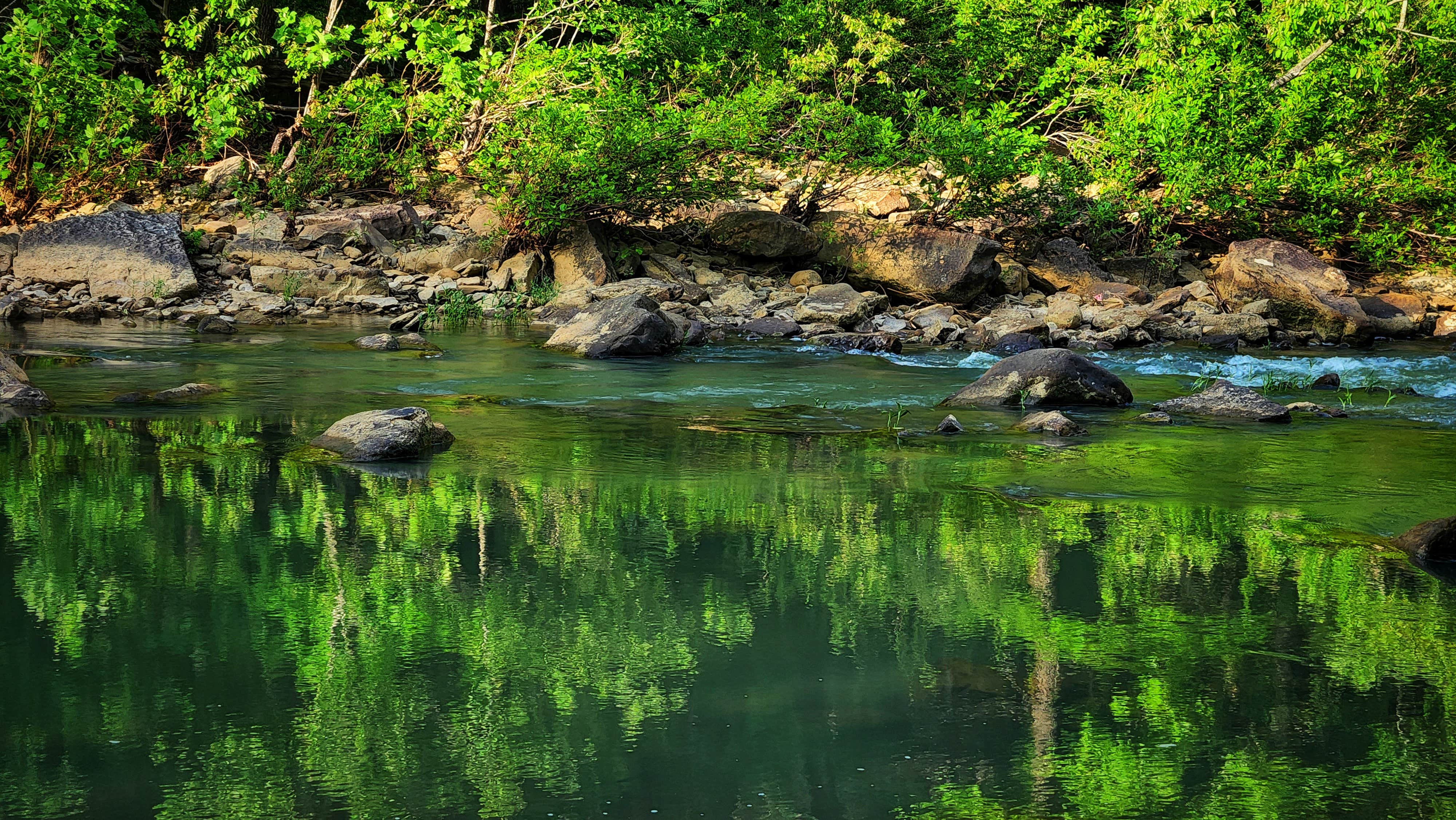 Camper-submitted photo at Middle Fork Dispersed Site AR Ozarks near Hector, AR