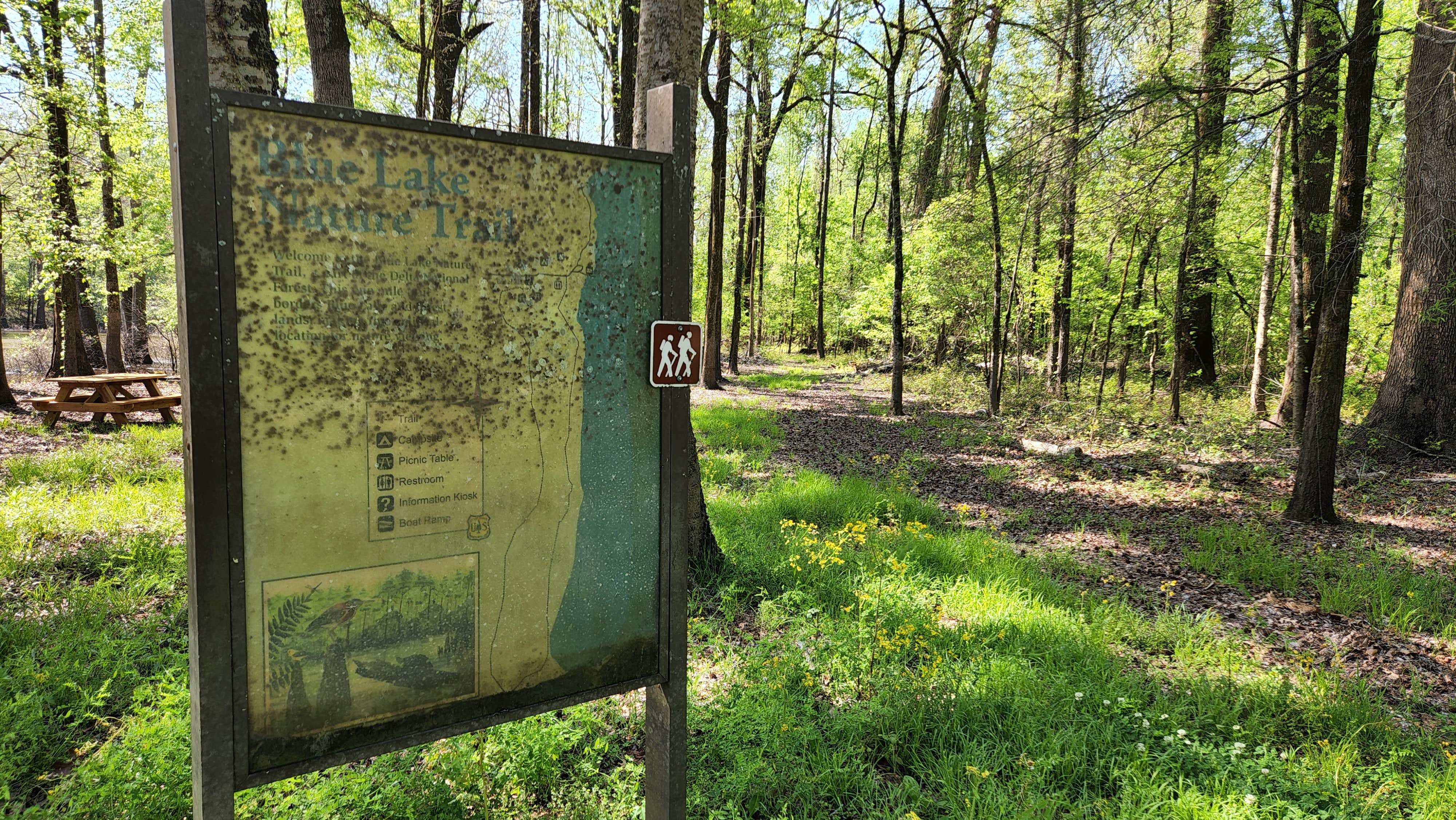 Camper-submitted photo at Blue Lake near Brooklyn, MS