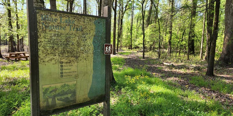 Camper submitted image from Blue Lake