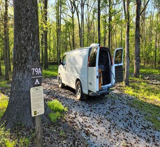 Camper-submitted photo from Delta National Forest Site 45/45A