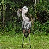 Review photo of Fort Pickens Campground — Gulf Islands National Seashore by Dru O., May 26, 2022