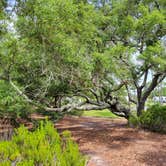 Review photo of Fort Pickens Campground — Gulf Islands National Seashore by Dru O., May 26, 2022