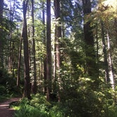 Review photo of Mill Creek Campground — Del Norte Coast Redwoods State Park by Jen M., July 14, 2018