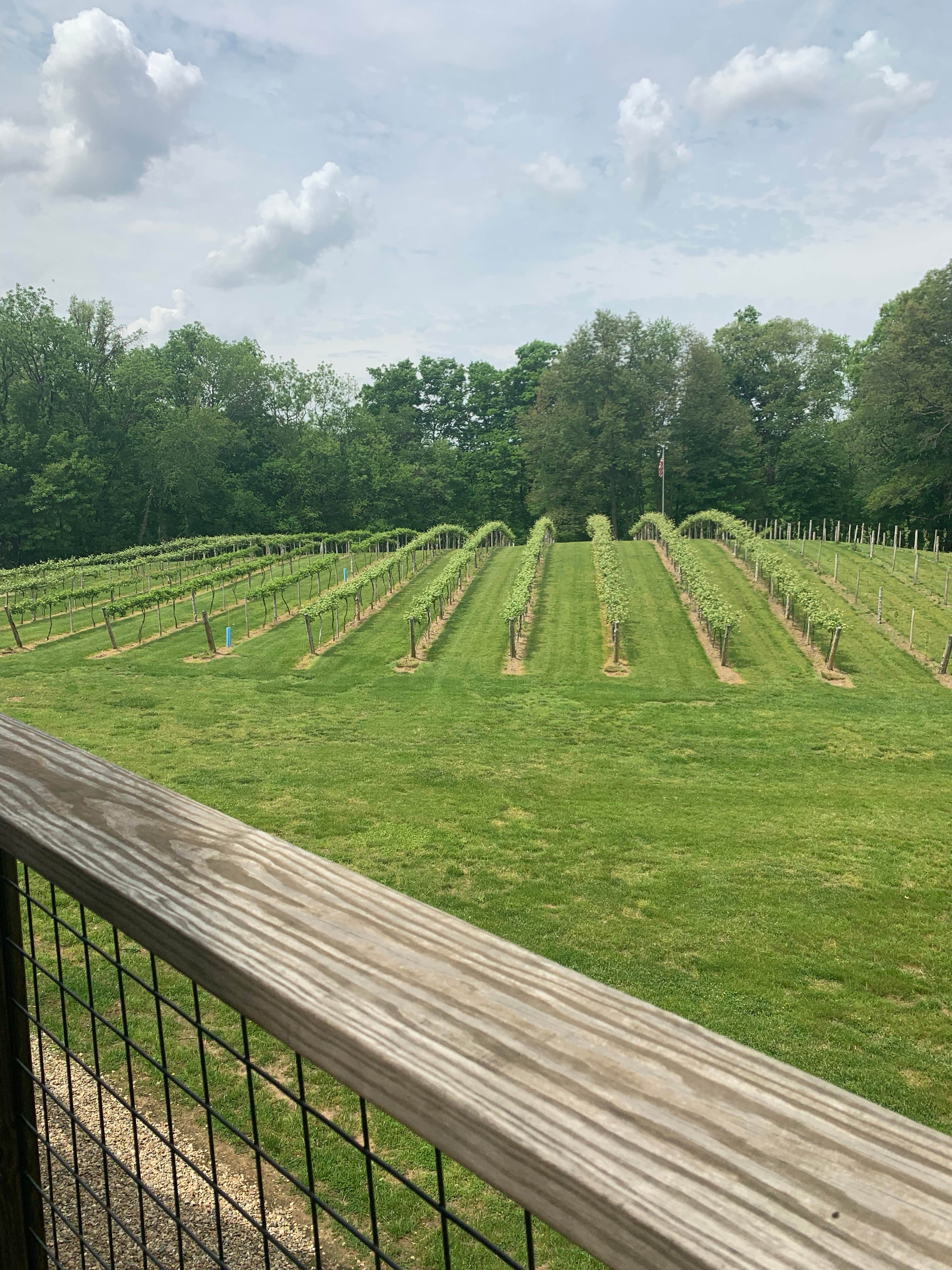 Camper-submitted photo at Sam Parr State Fish and Wildlife Area near Newton, IL