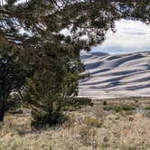 Review photo of Pinon Flats Campground — Great Sand Dunes National Park by Herbster , May 27, 2022