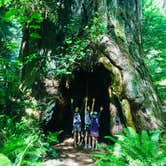 Review photo of Mill Creek Campground — Del Norte Coast Redwoods State Park by Jen M., July 14, 2018