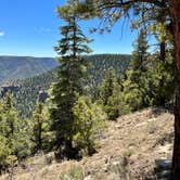 Review photo of Grand Canyon North Dispersed camping by Robert G., May 27, 2022