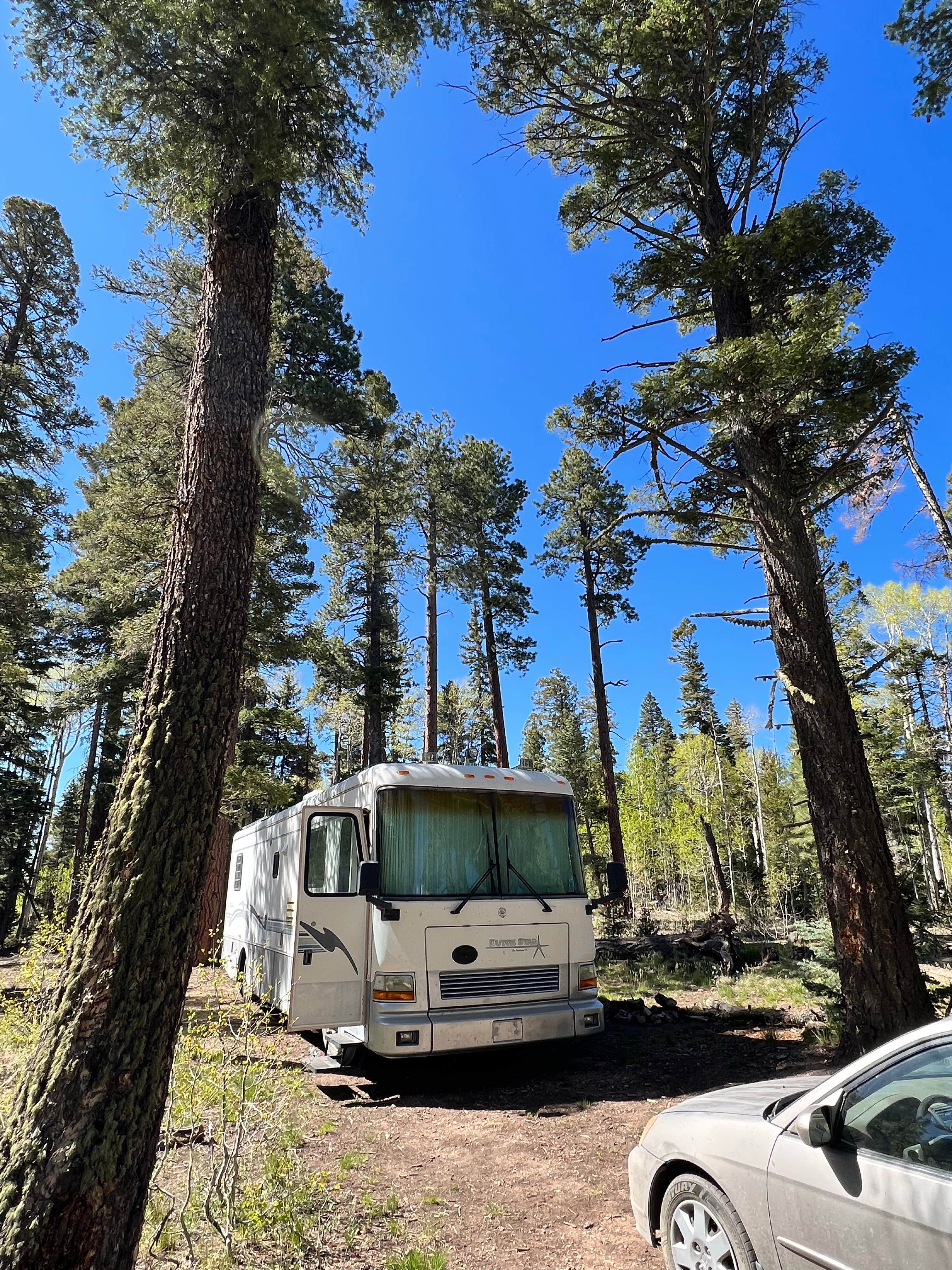 Grand Canyon North Dispersed camping | North Rim, Arizona