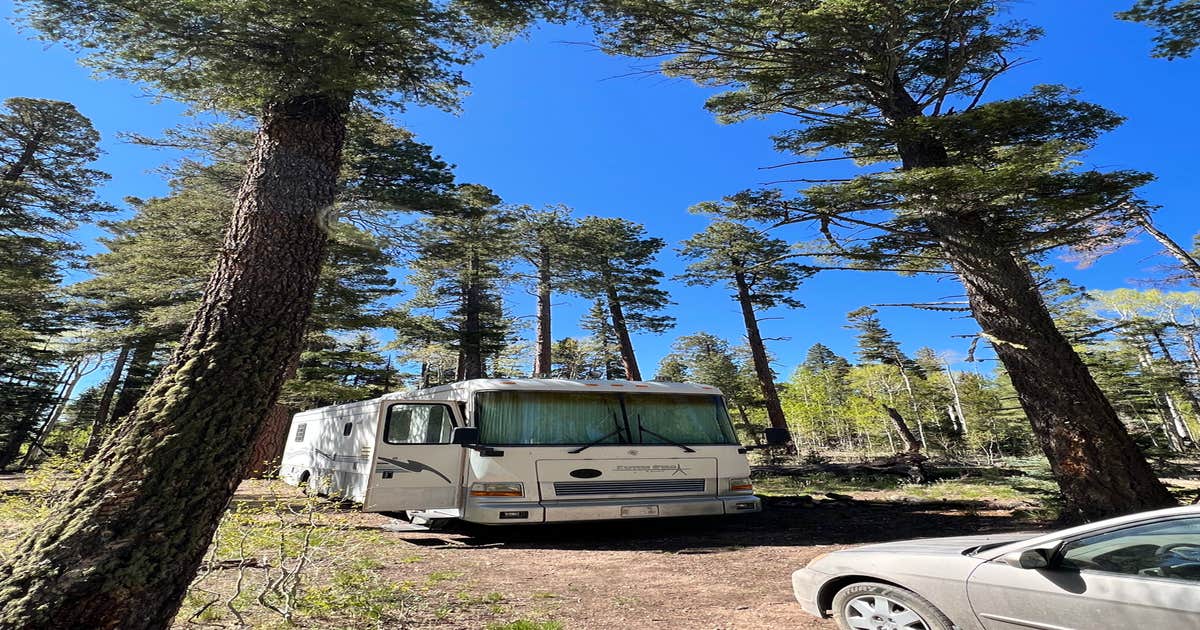 Grand Canyon North Dispersed camping | North Rim, AZ